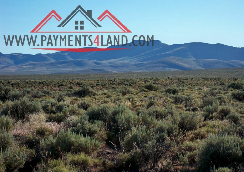 20 ACRES ELKO COUNTY NEVADA OFF GRID PARCEL ADJOINS BLM! Payments 4